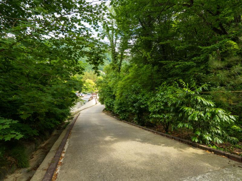 Грейс Небуг Калипсо