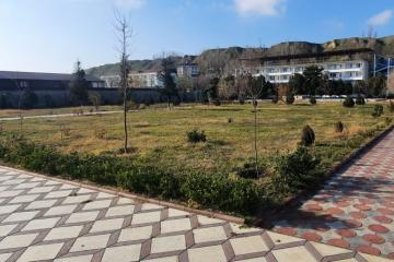 Отель Electra Holiday Россия, Республика Дагестан, фото 12