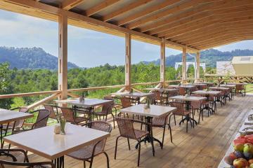 Отель Garuda Glamping Abkhazia Абхазия, Сухум, фото 33