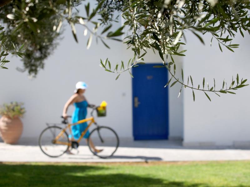 Aliathon Aegean