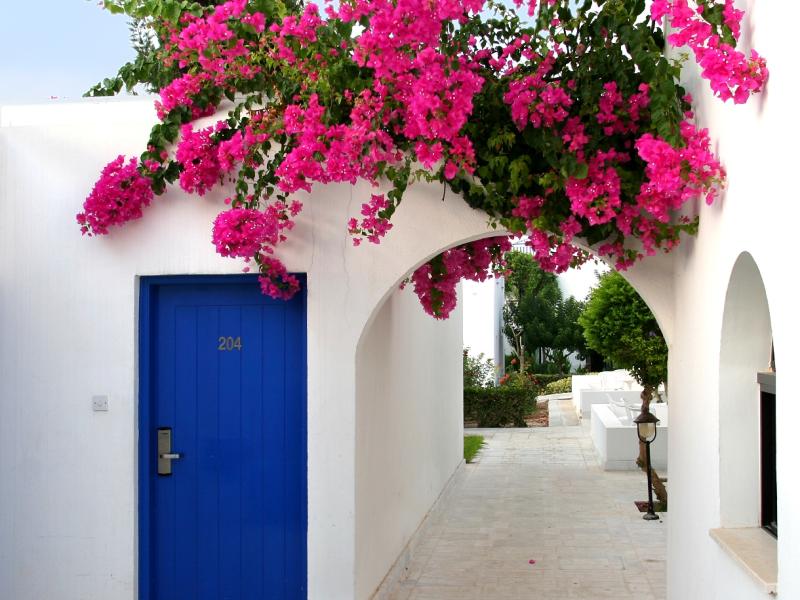 Aliathon Aegean