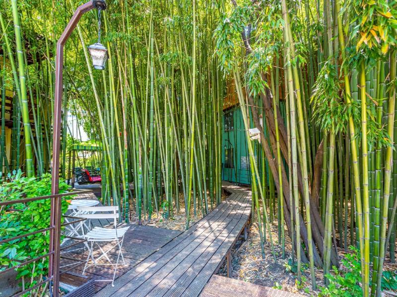 Бамбук-Хутор