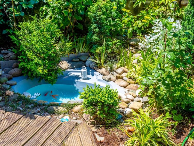 Бамбук-Хутор