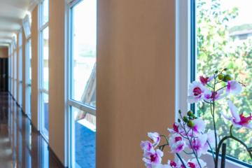 Отель Vegas Россия, Адлер, фото 12