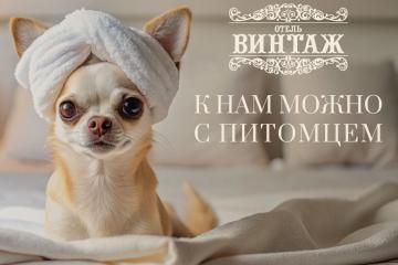 Отель Винтаж Апарт-отель (Абрау-Дюрсо) Россия, Новороссийск, фото 42