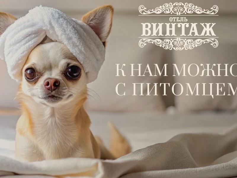 Винтаж Апарт-отель (Абрау-Дюрсо)