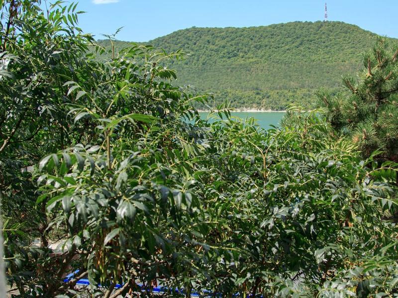 Винтаж Апарт-отель (Абрау-Дюрсо)