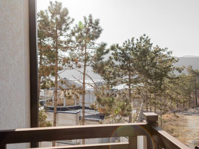 Винтаж Апарт-отель (Абрау-Дюрсо)