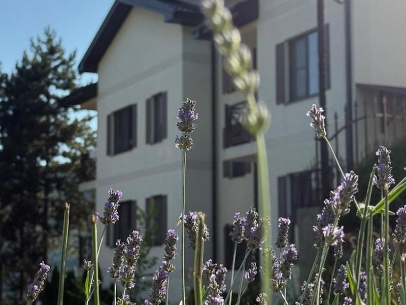 Винтаж Апарт-отель (Абрау-Дюрсо)