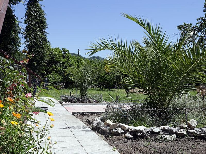 Гостевой дом Золотая рыбка