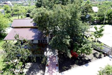 Отель Гостевой дом Золотая рыбка Абхазия, Пицунда, фото 19