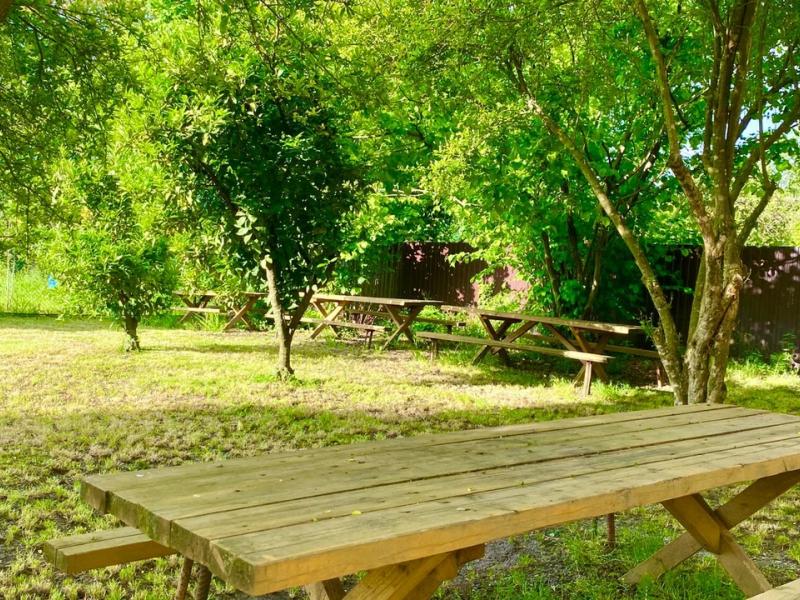 Дива (Алахадзы)