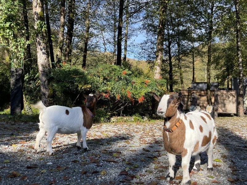 Soloh SPA Village (Солохаул)