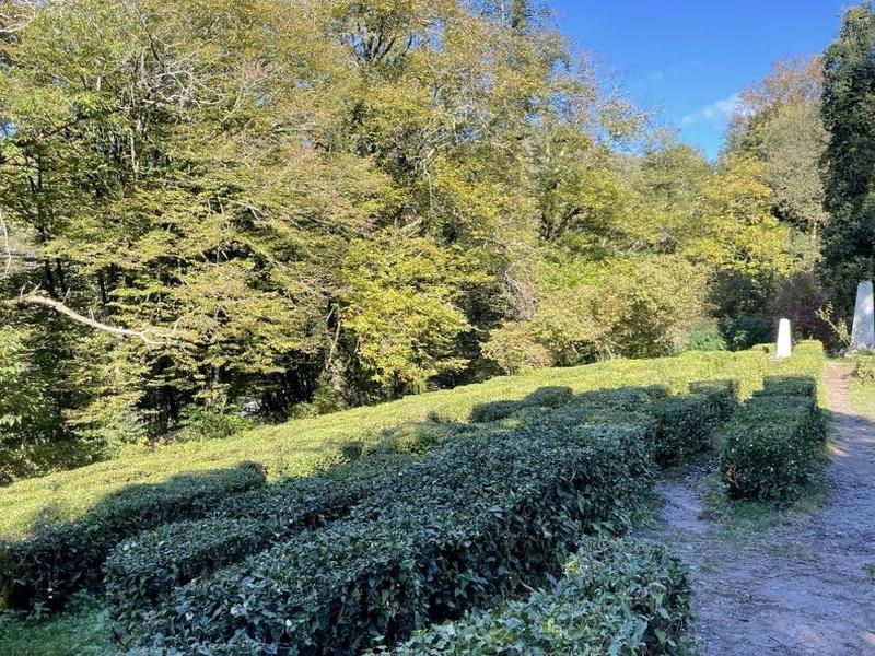 Soloh SPA Village (Солохаул)