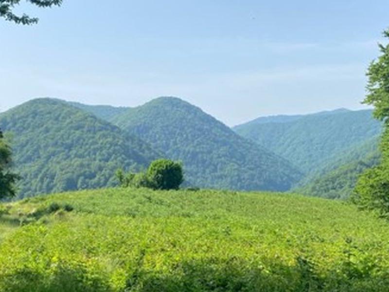 Soloh SPA Village (Солохаул)