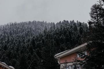 Отель Dombay Winter Hall Россия, Домбай, фото 12