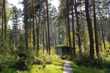 Отель Царская охота (Барангол) Россия, Республика Алтай, фото 42