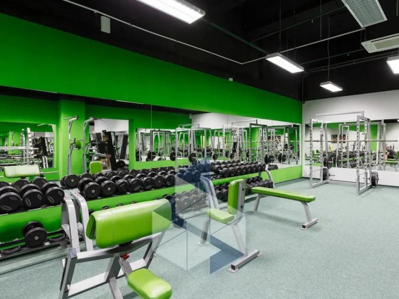 People Stadium Stories