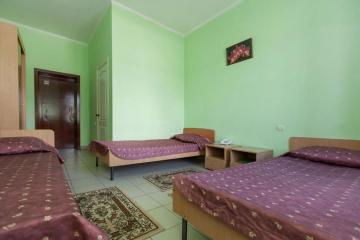 Отель Регина Болгар Россия, , фото 5