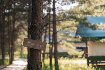 Отель Глэмпинг Ороктой Парк Россия, Республика Алтай, фото 14