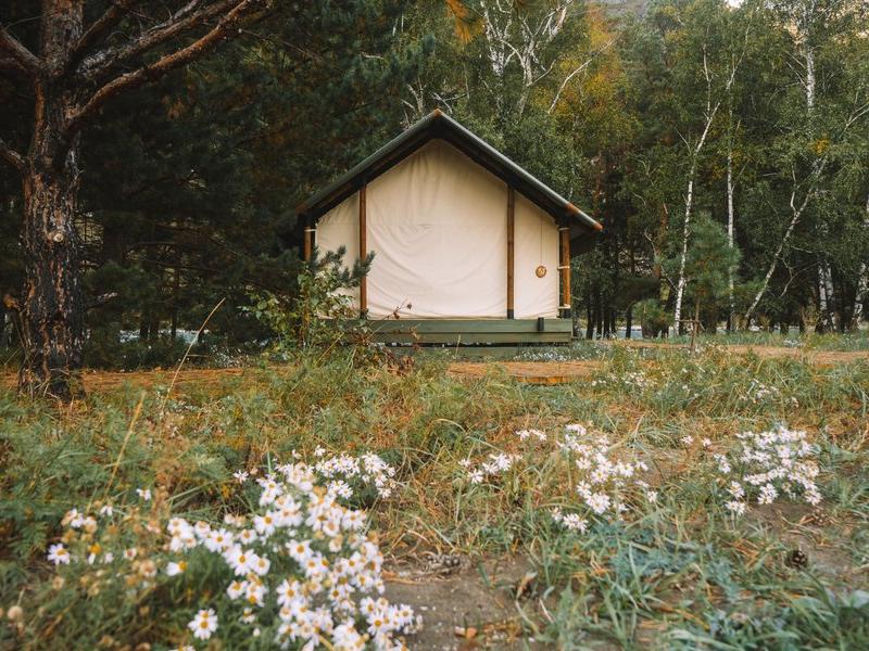 Глэмпинг Ороктой Парк