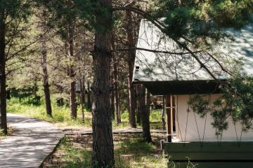 Отель Глэмпинг Ороктой Парк Россия, Республика Алтай, фото 31