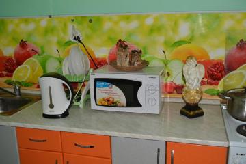 Отель Хостел Подсолнух Россия, Барнаул, фото 20