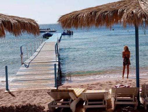 Sharks Bay Umbi Diving Village