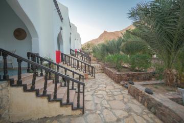 Отель Bedouin Moon Египет, Дахаб, фото 19