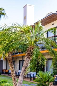Отель Khai Hotel Bodrum Турция, Бодрум, фото 30