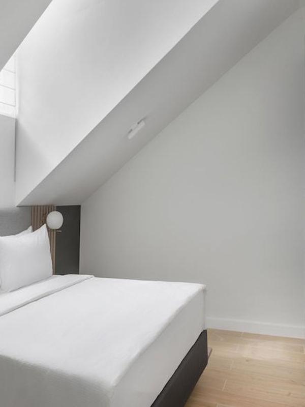 The Basilian Minsk, Curio Collection By Hilton