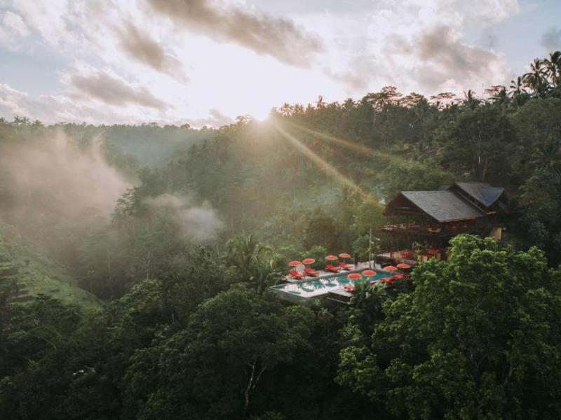 Buahan, A Banyan Tree Escape