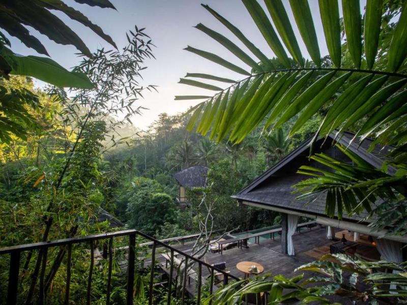 Buahan, A Banyan Tree Escape