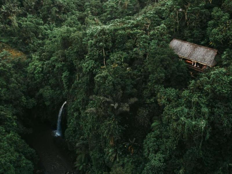 Buahan, A Banyan Tree Escape