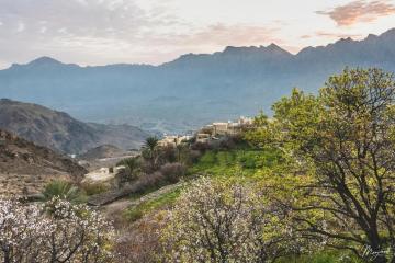 Отель Sama Wakan Heritage Оман, Низва, фото 17