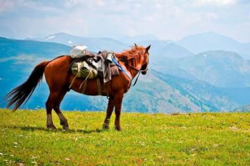 Отель Шале Аура Россия, Архыз, фото 21