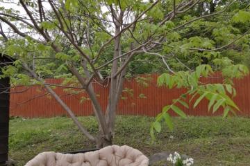 Отель У#Дачный (Манжерок) Россия, Республика Алтай, фото 12