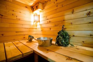 Отель Алтай Парк-отель Подгорица Россия, Алтайский край, фото 29