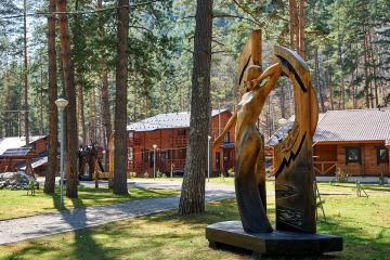 Отель Алтай Парк-отель Подгорица Россия, Алтайский край, фото 3