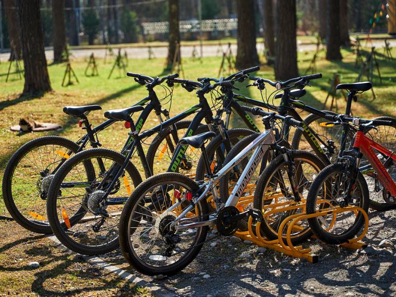 Алтай Парк-отель Подгорица