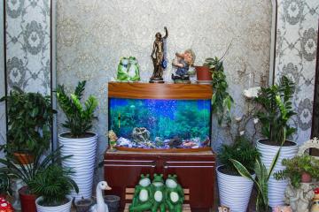 Отель Angel Россия, Лазаревское, фото 7