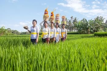 Отель Wyndham Tamansari Jivva Resort Bali Индонезия, о Бали, фото 67