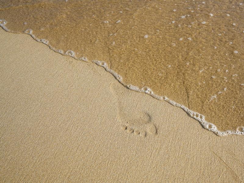 Haritha Villas & Spa