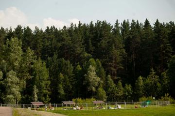 Отель Санаторий Сосновый бор Россия, Алтайский край, фото 25