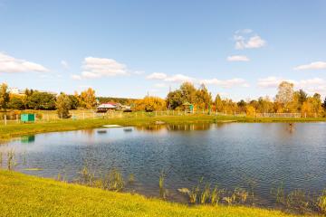 Отель Санаторий Сосновый бор Россия, Алтайский край, фото 5