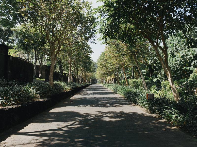 Soori Bali