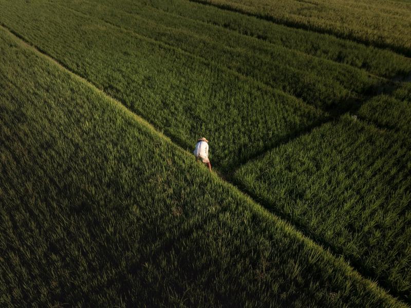 Soori Bali