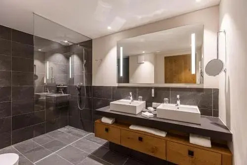 ibis Styles Bucharest Erbas