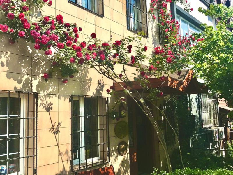 Erguvan Hotel