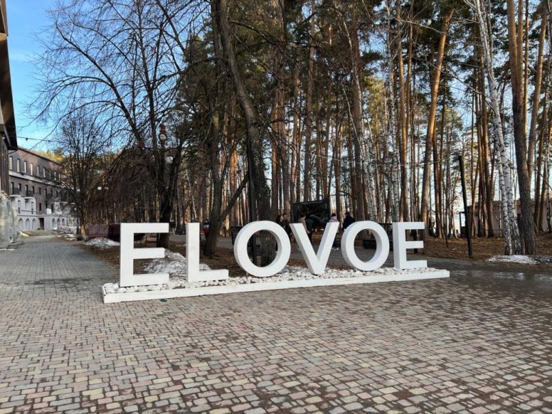 Скандинавский парк-отель ELOVOE